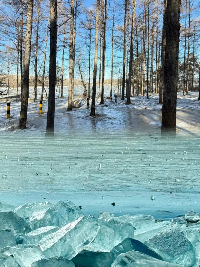 Jingyuetan Snow World: A Hidden Winter Wonderland in Changchun!