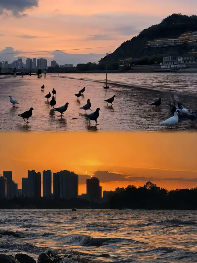 得罪各位，這篇蘭州旅遊避坑指南我發啦