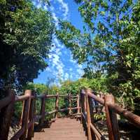 🌳探尋中山隱秘角落，踏入真實版綠野仙蹤
