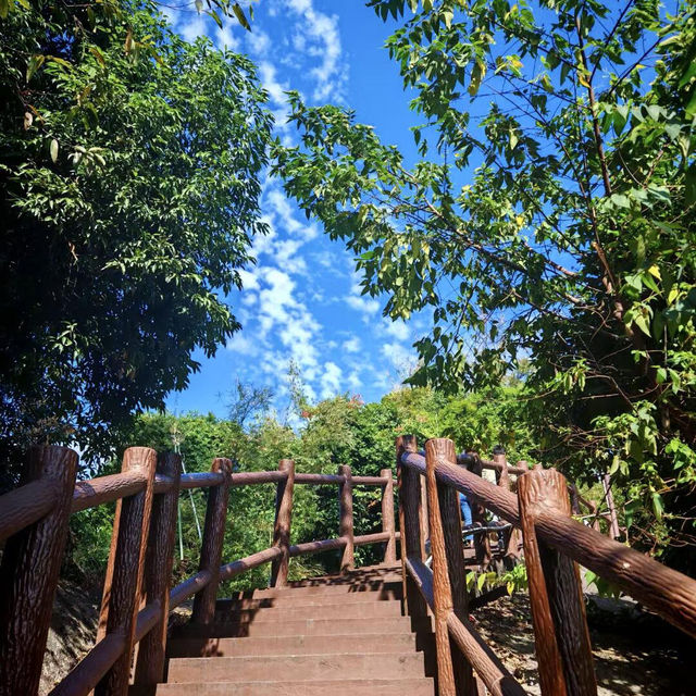 🌳探尋中山隱秘角落，踏入真實版綠野仙蹤