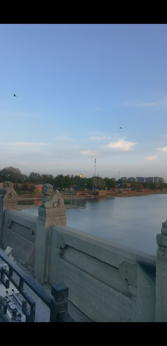 盧溝橋上501隻石獅的秘密，你知道幾多個？