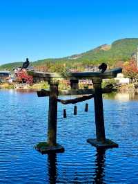 日本5日遊 真溫泉體驗等你來