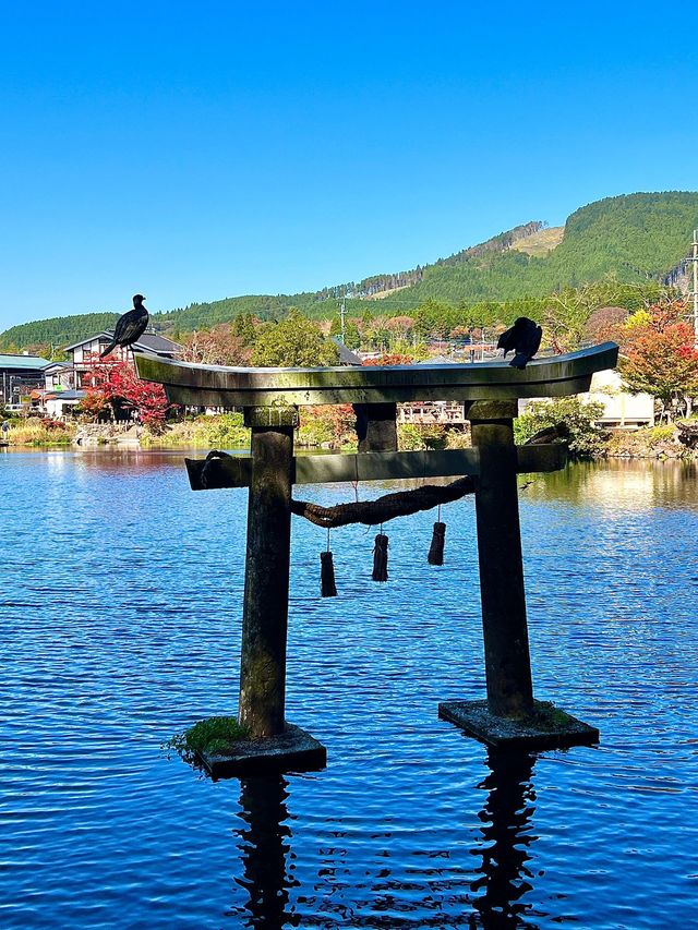 日本5日遊 真溫泉體驗等你來