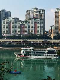 宜賓2日探秘森林之旅｜超詳細攻略