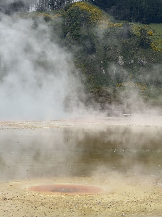 新西蘭帶娃探秘自然山水 親子遊新體驗