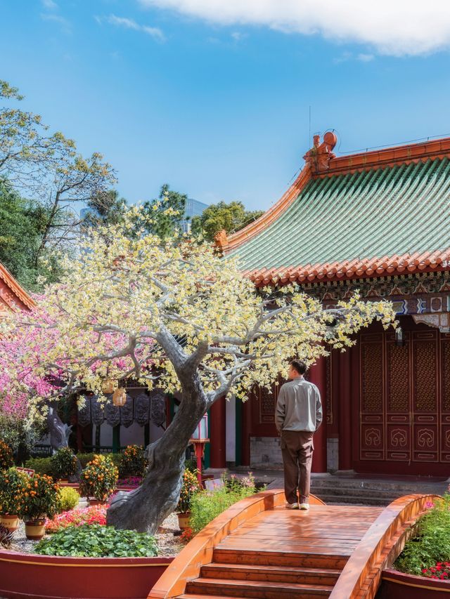 珠海人的口風真緊啊！悄悄地建了個圓明新園