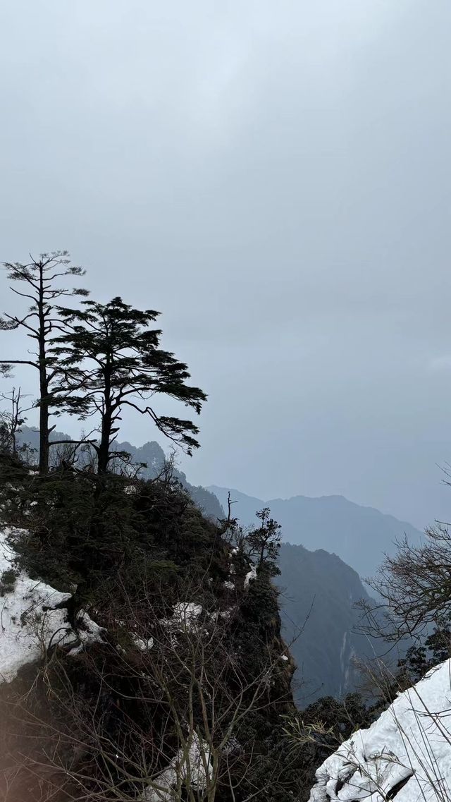 大學生特種兵相約樂山大佛？？