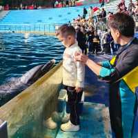 必睇！動物園節假日暢玩全攻略，演出時間表都在這