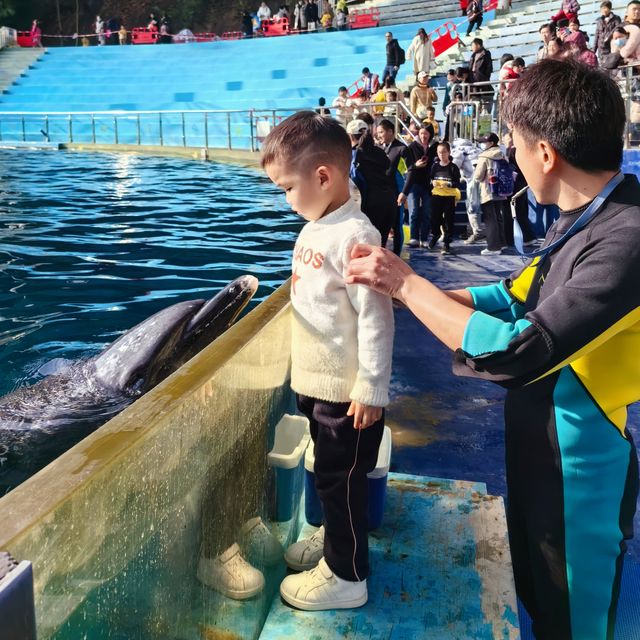 必睇！動物園節假日暢玩全攻略，演出時間表都在這
