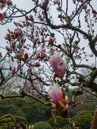 春日嘅淨慈寺
