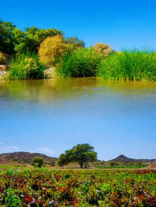 Taif: Saudi Arabia's Garden City