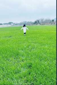 武漢本地遊之「鄱陽湖」，你確定週末不來看看嗎？