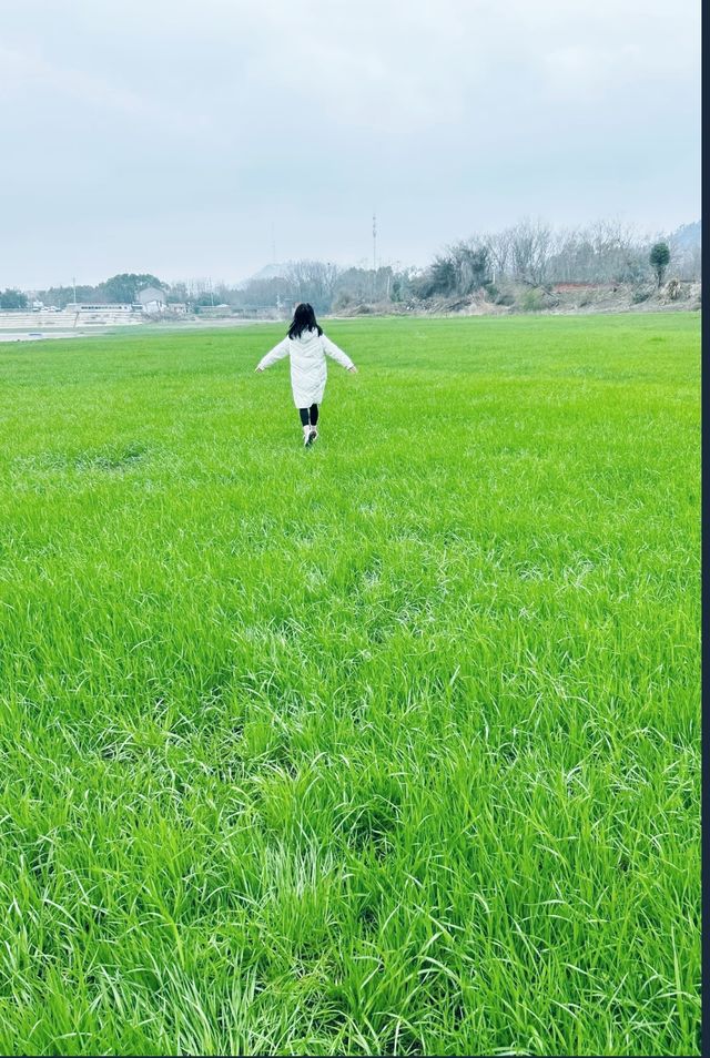武漢本地遊之「鄱陽湖」，你確定週末不來看看嗎？
