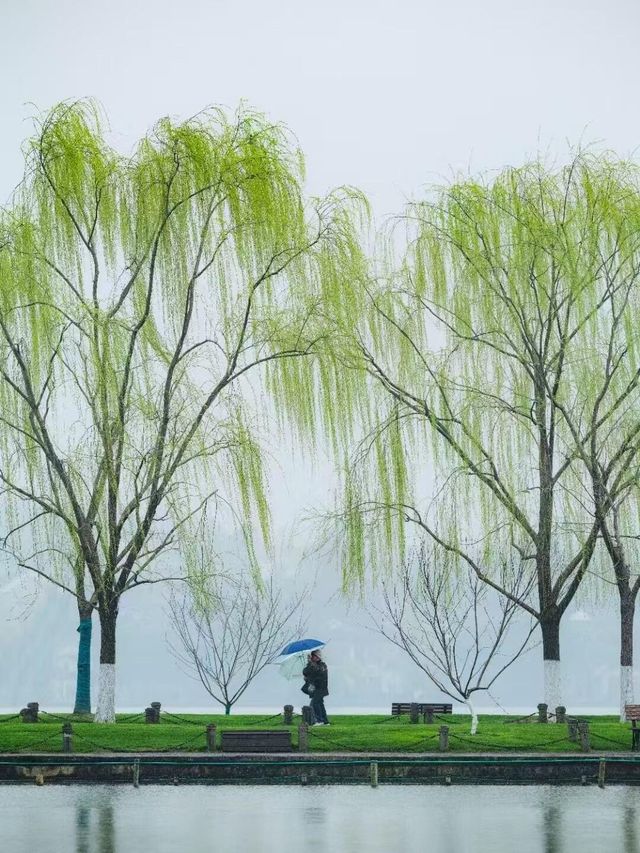 江南煙雨篇——西湖春天
