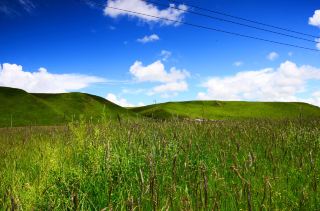 Gannan Mairen Grassland | Known as the "Emerald Velvet Carpet on the Plateau"