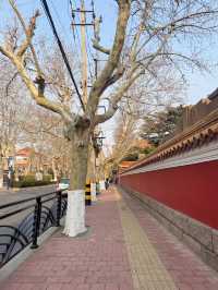 青島旅遊攻略，本地人強推防雷路線