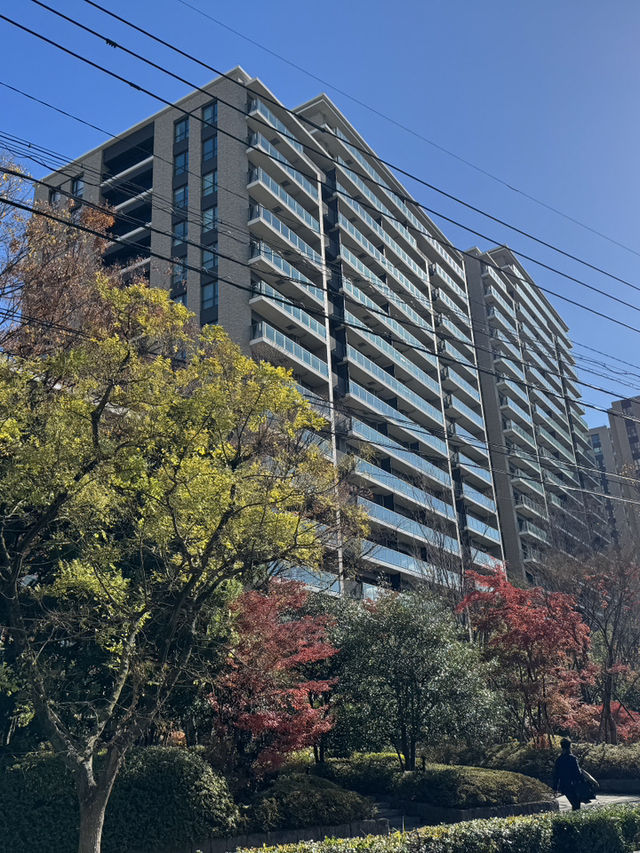藥院車站與周邊景點一日遊：福岡的悠閒與文化探索🚉🌳