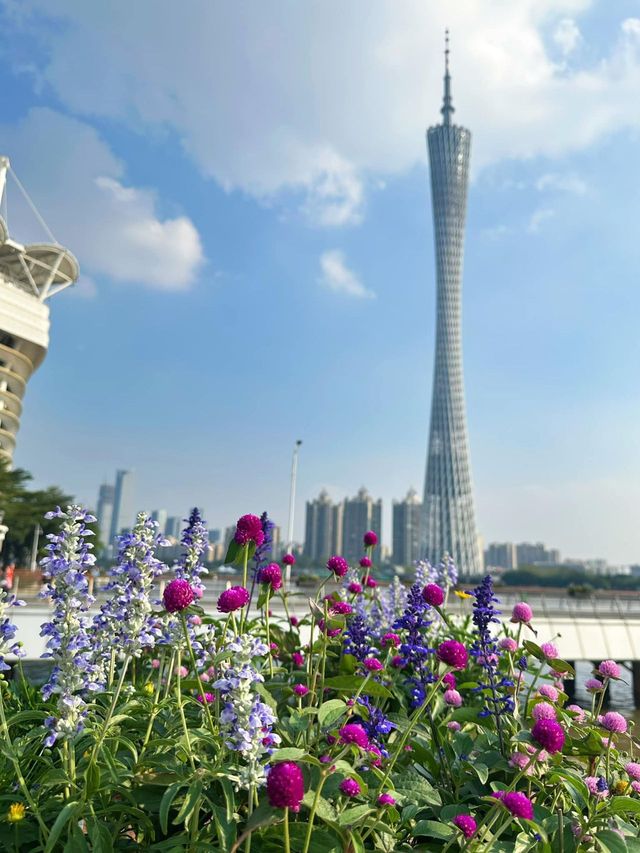 廣州親子遊全攻略玩轉羊城不迷路