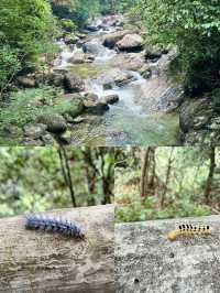 避暑還是要去山裡面喔