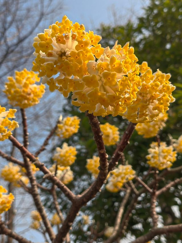 遛娃露營好去處｜上海寶山白沙公園