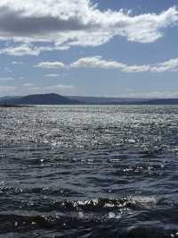 A Swim Like No Other, The Lakes In The Bay Of Plenty New Zealand