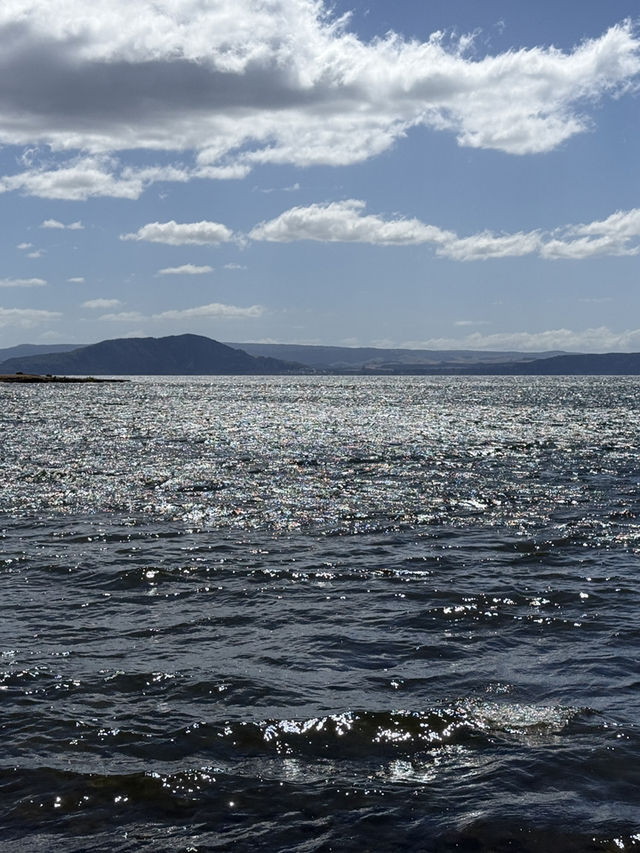 A Swim Like No Other, The Lakes In The Bay Of Plenty New Zealand