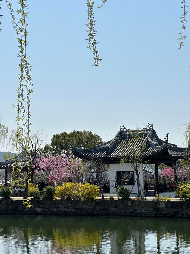 花開得正好｜週末往返無錫2日遊特種兵攻略