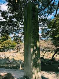 奈良療癒一日遊｜奈良公園與東大寺🦌🌸