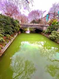 春日揚州：邂逅桃花與運河盛景