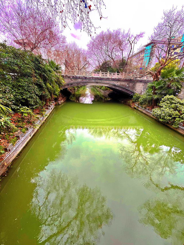春日揚州：邂逅桃花與運河盛景