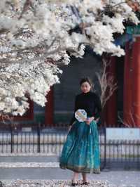美而不妖 素而不寡｜中式古建築標配 - 白玉蘭