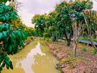 Haokun Wet Land Reserve: Ecological Treasure and Nature Beauty Museum