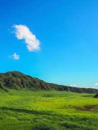 清明節日本6日遊玩攻略