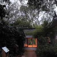 🍵深圳新晉擺爛聖地 | 筆架山公園茶館✨