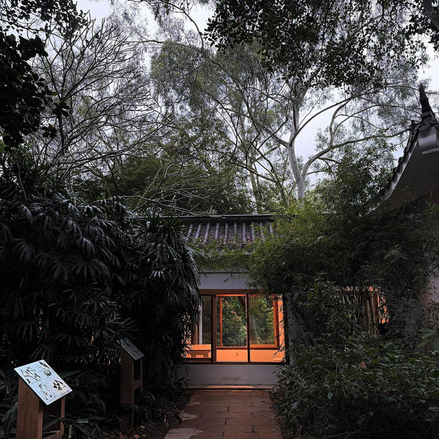 🍵深圳新晉擺爛聖地 | 筆架山公園茶館✨