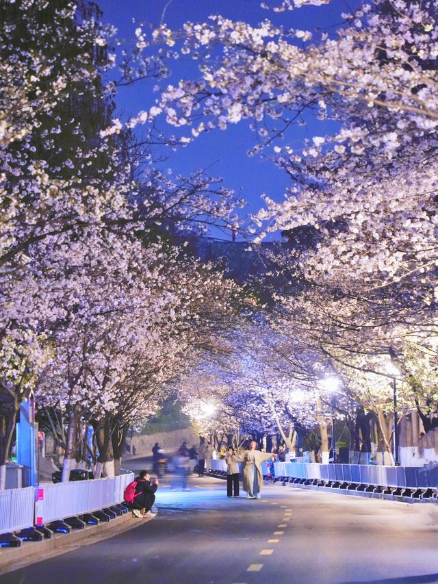 春天嚟南京，千祈唔好錯過賞花citywalk嘅打卡路線！