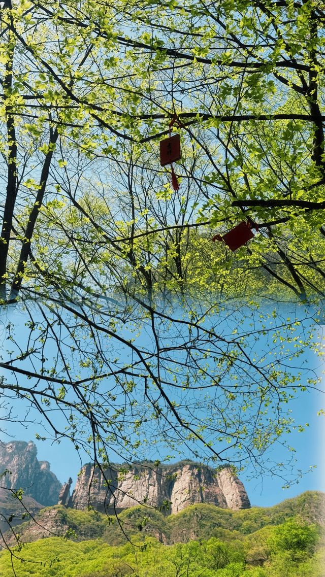 帶上家人，一起解鎖這個“北方水世界”的清涼與奇景吧！