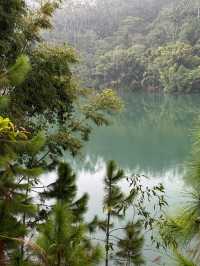 秘境探幽——中山五桂山，藏於城市的綠野仙蹤