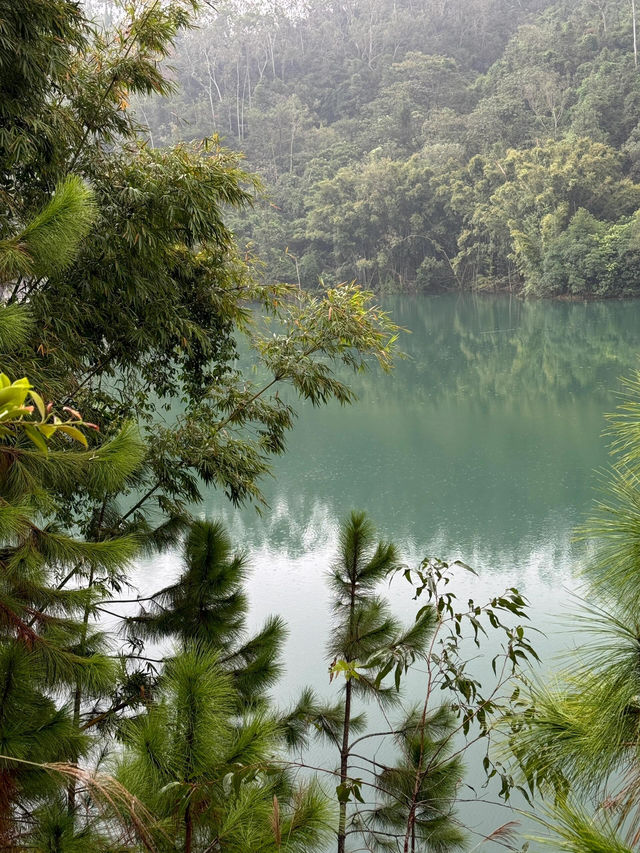 秘境探幽——中山五桂山，藏於城市的綠野仙蹤