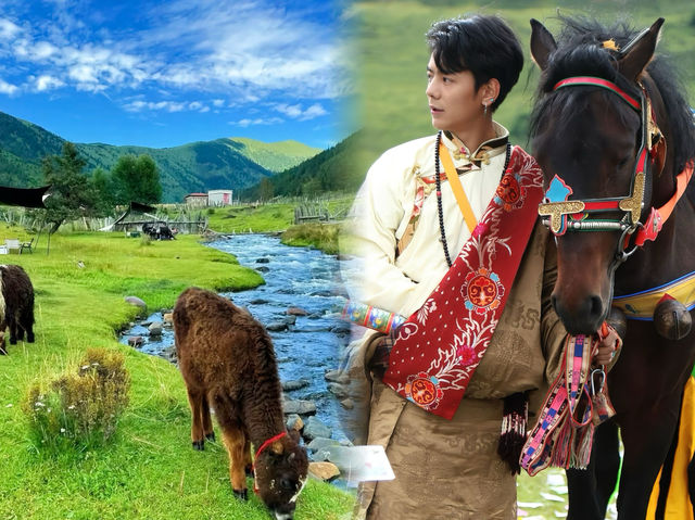 理塘旅遊攻略
