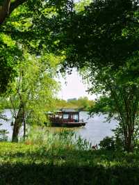 以為臨平公園夠美了！直到去了湖州杜鵑花海