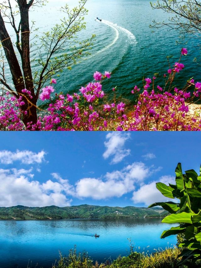 春日白山，藏着治癒系田園生活，美美美！
