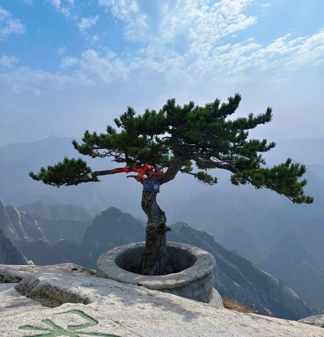 剛從華山回來！440元西上北下路線真的值嗎？