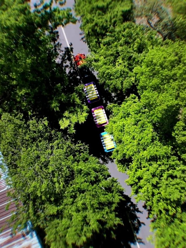 五一嚟撒野！解鎖天目湖涵田度假村嘅N種快樂姿勢
