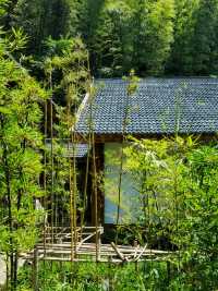 溧陽南山竹海親子遊 | 兩天的慢時光之旅