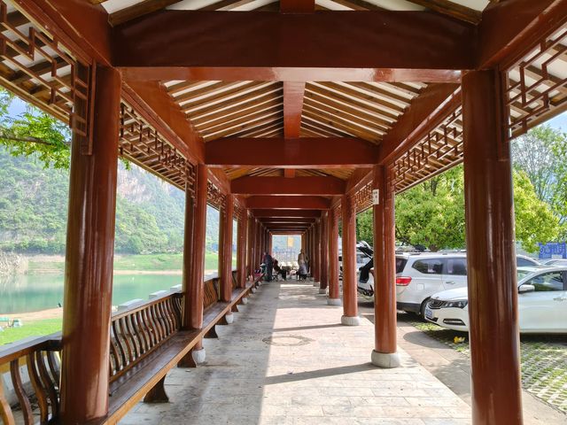野紀河
