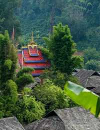 嘩塞！親們，我要給你們揭秘一個雲南嘅寶藏秘境——景邁山！