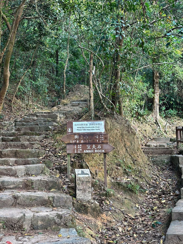 🌄挑戰香港沙田望夫石徒步