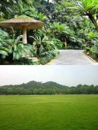 《青秀山：山清水秀，風光旖旎的自然仙境》​