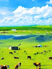 《額爾古納濕地：夏季打卡、秋季必遊全攻略》